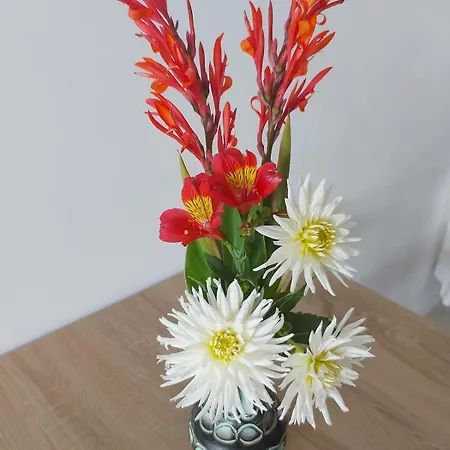 Tatil Evi Plain Pied, Avec Mezzanine Et Espace Exterieur 10min Puy Du F *