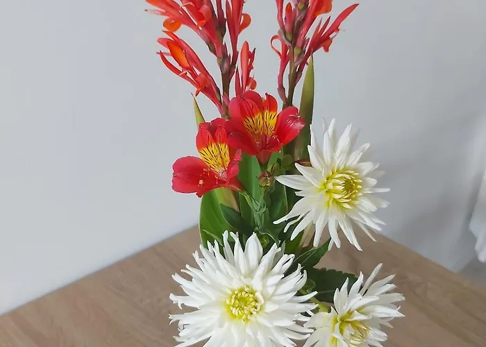 Dom wakacyjny Plain Pied, Avec Mezzanine Et Espace Exterieur 10min Puy Du F *